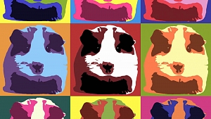 Warhol style guinea pig print